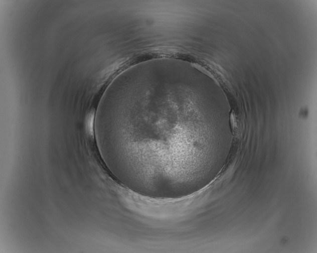 X0000091360047200708171533