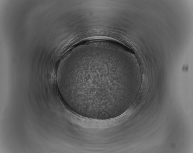 X0000091360048200708171533