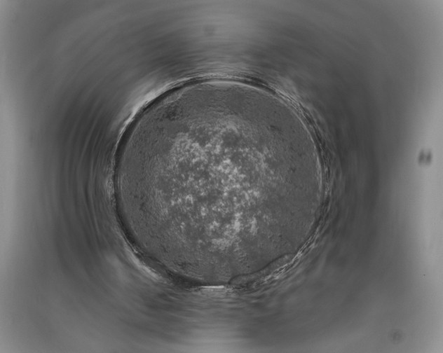 X0000091360050200708171532