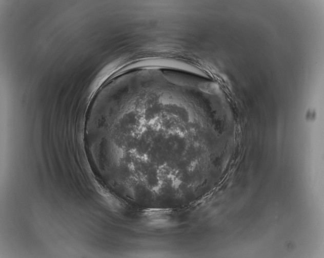 X0000091360051200708171532