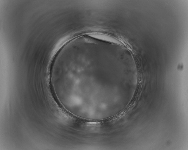 X0000091360053200708171532