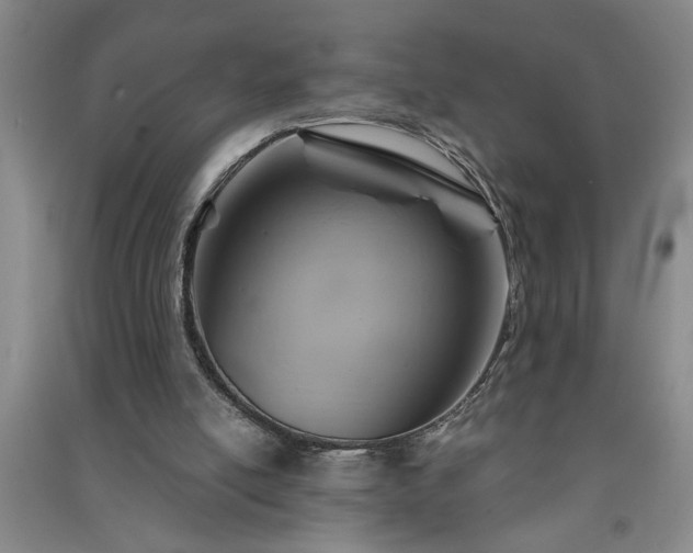 X0000091360054200708171532
