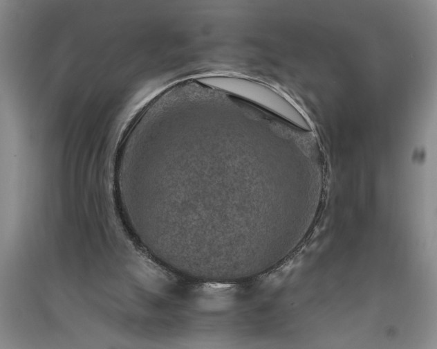 X0000091360055200708171532