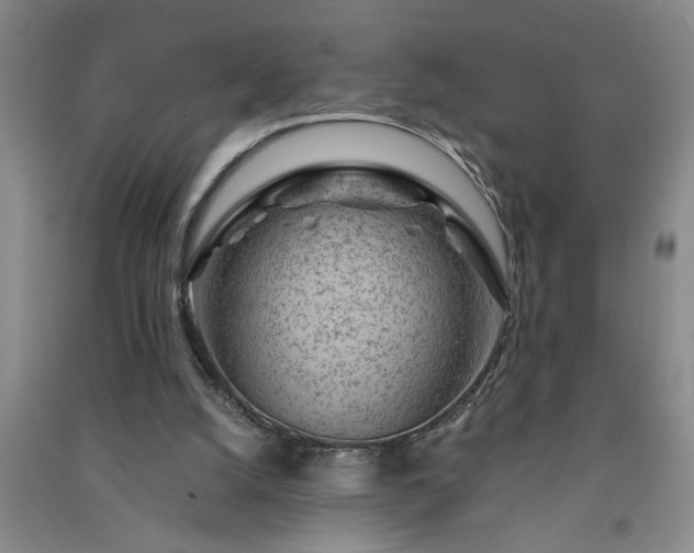 X0000091360056200708171532