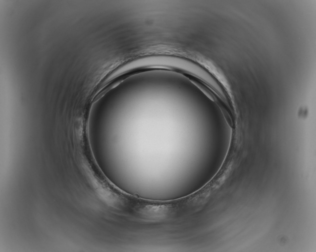 X0000091360057200708171532
