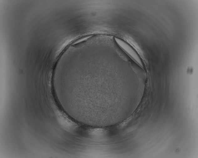 X0000091360058200708171532