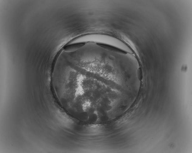 X0000091360059200708171532