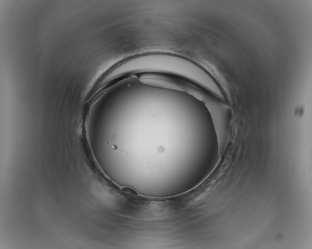 X0000091360060200708171532