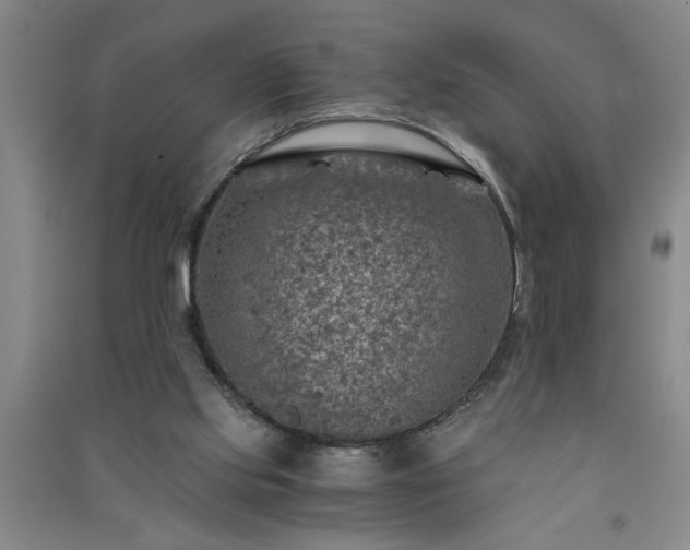 X0000091360061200708171532