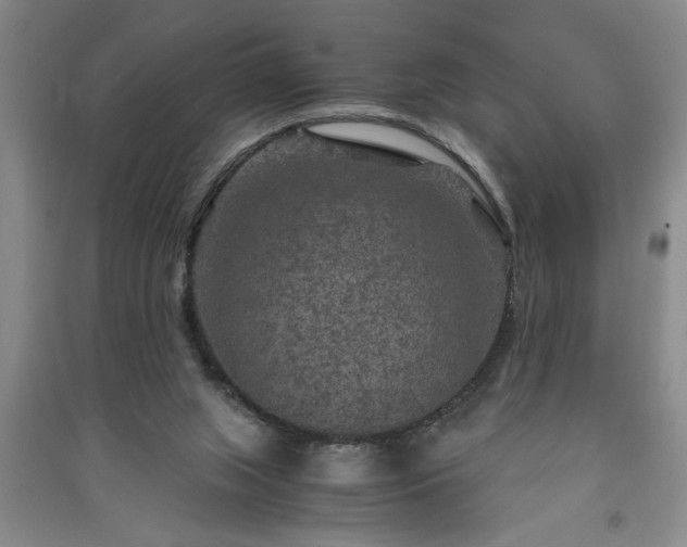 X0000091360063200708171532