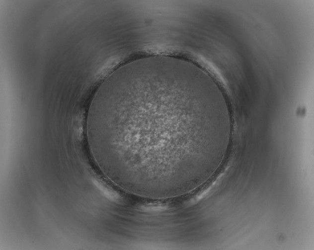 X0000091360065200708171532