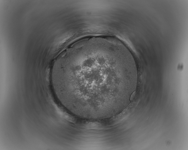 X0000091360066200708171532