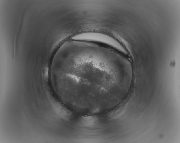 X0000091360067200708171532