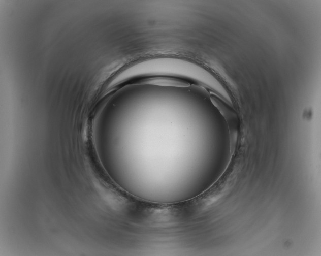 X0000091360068200708171532