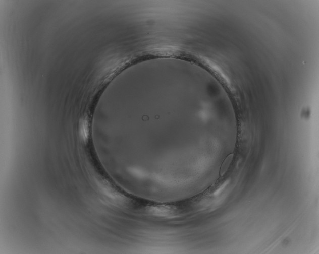 X0000091360069200708171532