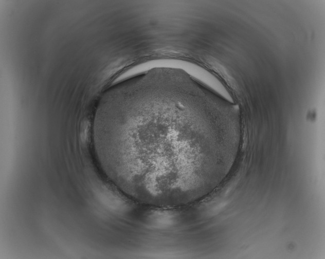 X0000091360071200708171532