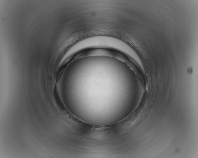 X0000091360072200708171532