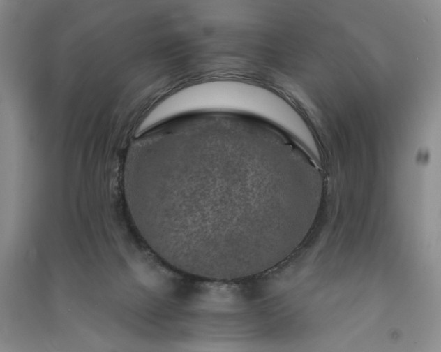 X0000091360073200708171532