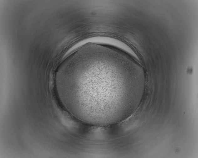 X0000091360074200708171532