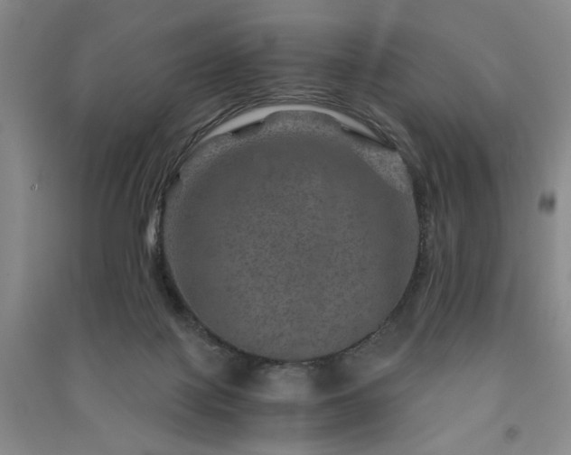 X0000091360075200708171532