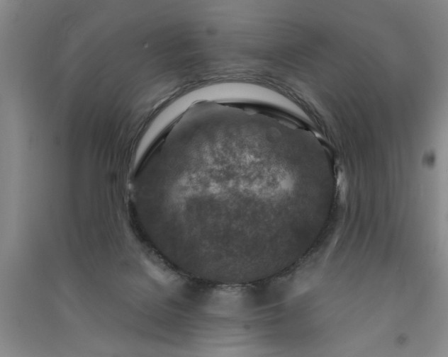 X0000091360076200708171532