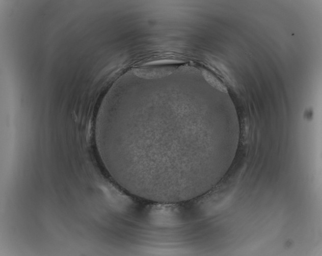 X0000091360077200708171532
