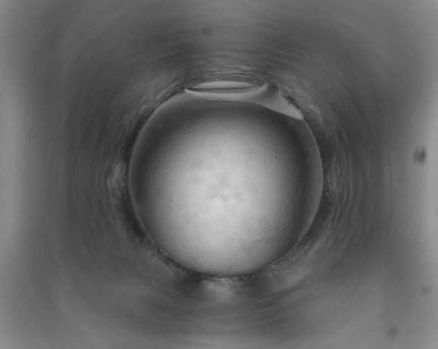 X0000091360079200708171532
