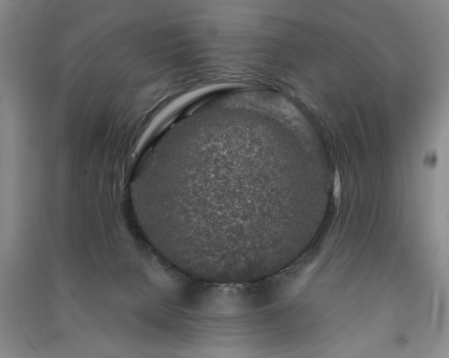 X0000091360080200708171532