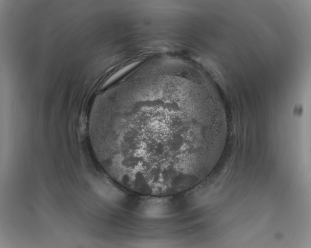 X0000091360081200708171532