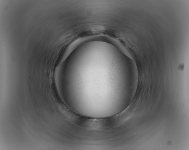 X0000091360082200708171532