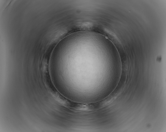 X0000091360083200708171532