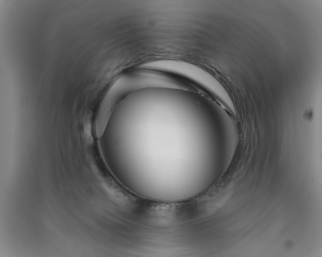X0000091360084200708171532