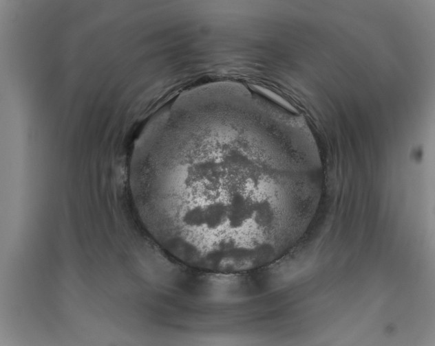 X0000091360085200708171532