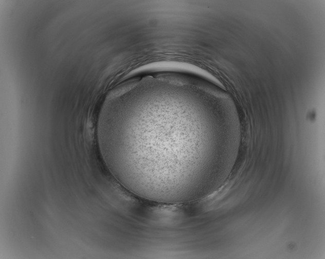 X0000091360086200708171532