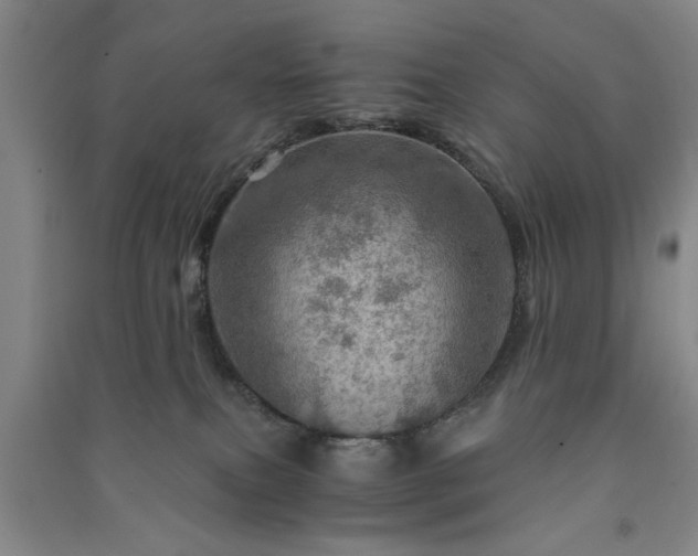 X0000091360087200708171532