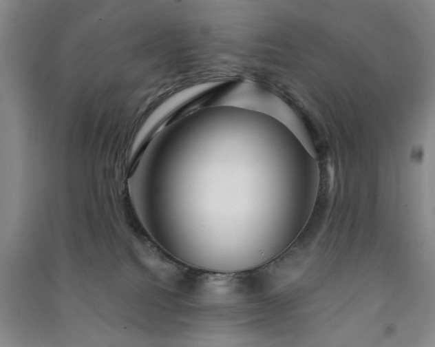X0000091360088200708171532
