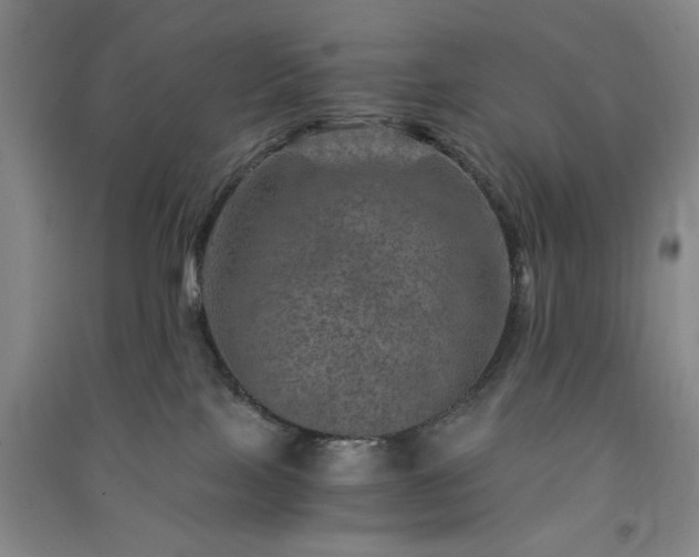 X0000091360089200708171532