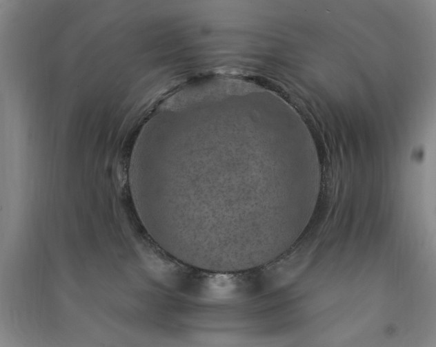 X0000091360091200708171533