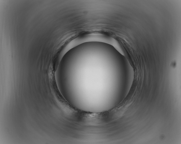 X0000091360092200708171533