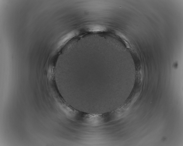 X0000091360093200708171533
