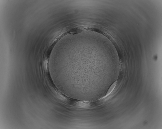 X0000091360094200708171533