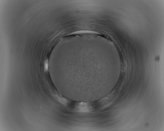 X0000091360095200708171533