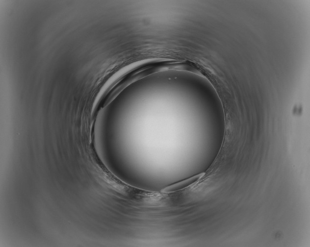 X0000091360096200708171533