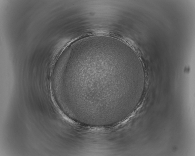 X0000091360097200708171532
