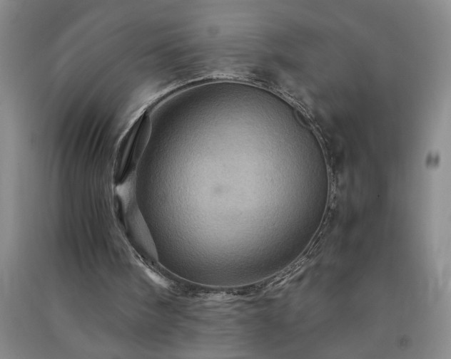 X0000091360098200708171532