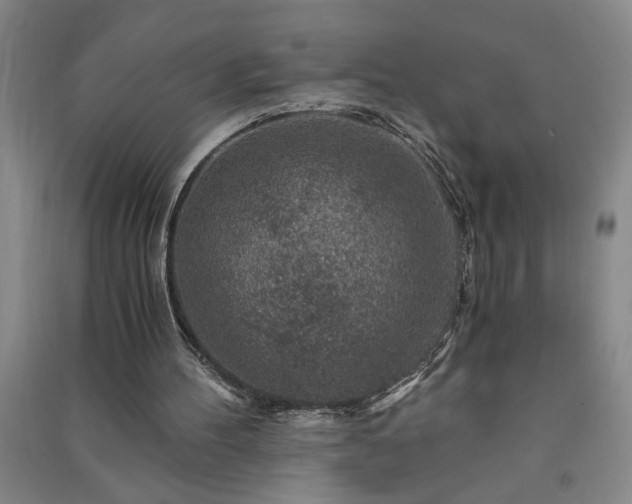 X0000091360100200708171532