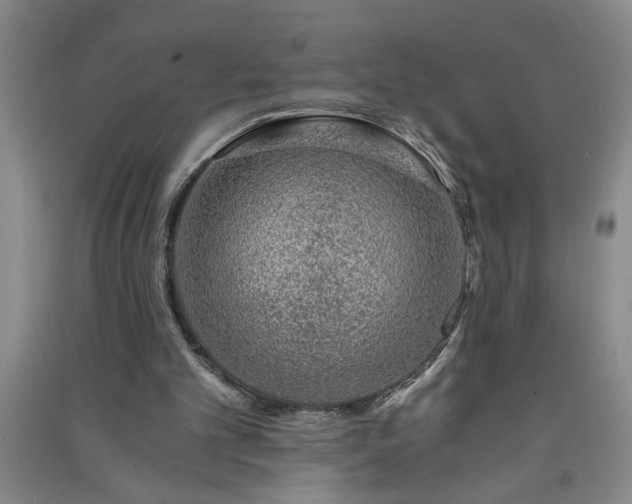 X0000091360101200708171532