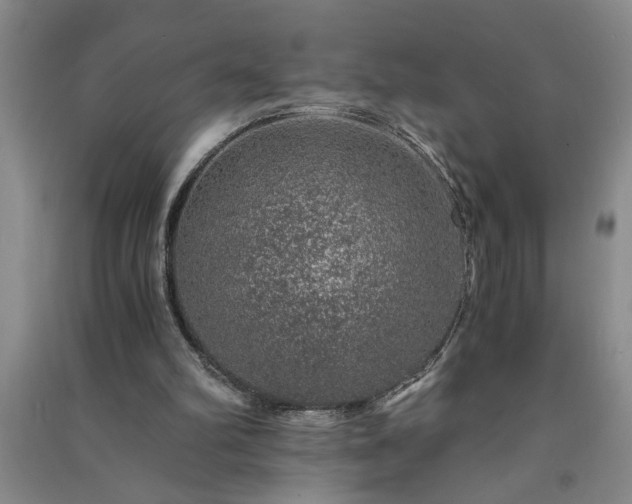 X0000091360102200708171532