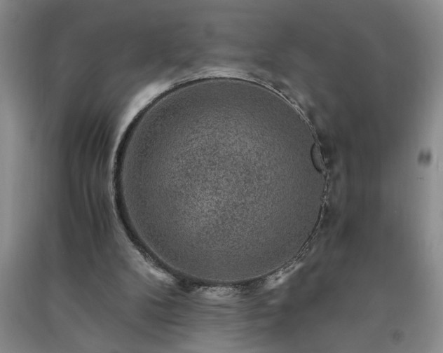 X0000091360104200708171532