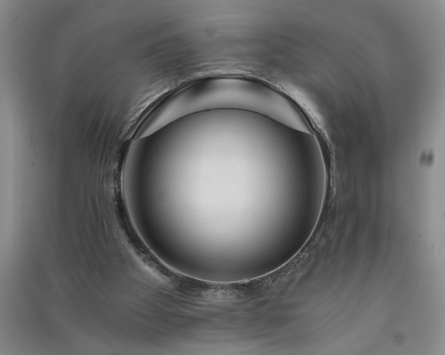 X0000091360105200708171532